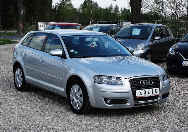 Audi A3 cena 19900 przebieg: 198203, rok produkcji 2005 z Mirsk małe 529